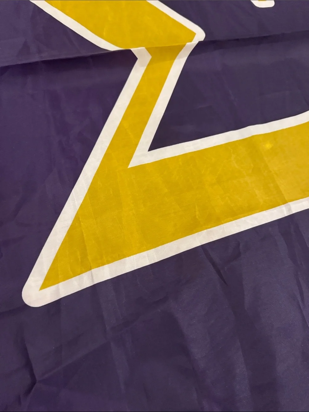 Purple and Gold Sigma Alpha Epsilon Fraternity Decorative Wall Flag